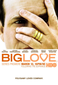 Big Love (2011) poster